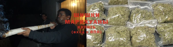 ПСИЛОЦИБИНОВЫЕ ГРИБЫ Аркадак