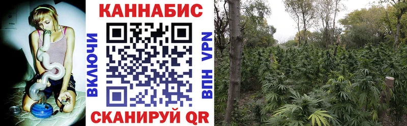 МАРИХУАНА MAZAR  где можно купить наркотик  Кирс 